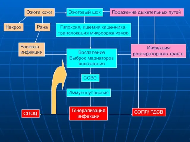 Ожоговый шок Поражение дыхательных путей Ожоги кожи Некроз Рана Гипоксия, ишемия