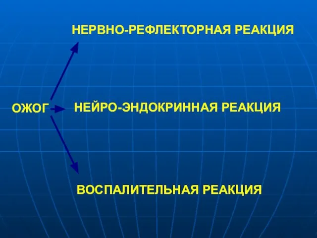 ОЖОГ НЕРВНО-РЕФЛЕКТОРНАЯ РЕАКЦИЯ НЕЙРО-ЭНДОКРИННАЯ РЕАКЦИЯ ВОСПАЛИТЕЛЬНАЯ РЕАКЦИЯ