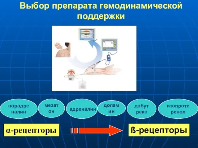 Выбор препарата гемодинамической поддержки норадреналин изопротеренол допамин добутрекс мезатон α-рецепторы ß-рецепторы адреналин