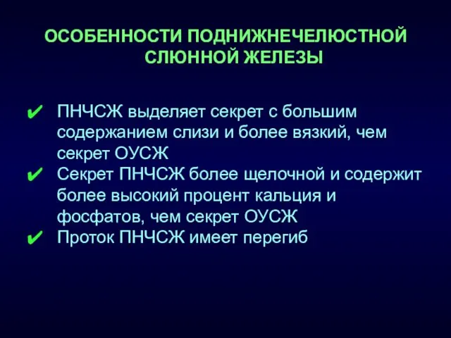 ОСОБЕННОСТИ ПОДНИЖНЕЧЕЛЮСТНОЙ СЛЮННОЙ ЖЕЛЕЗЫ ПНЧСЖ выделяет секрет с большим содержанием слизи