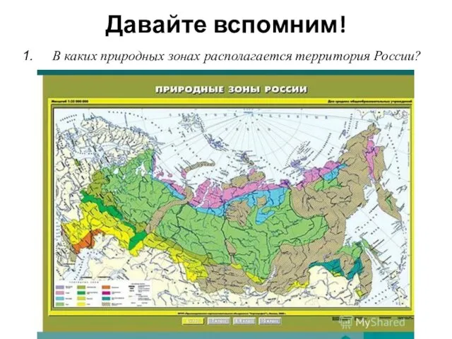 Давайте вспомним! В каких природных зонах располагается территория России?