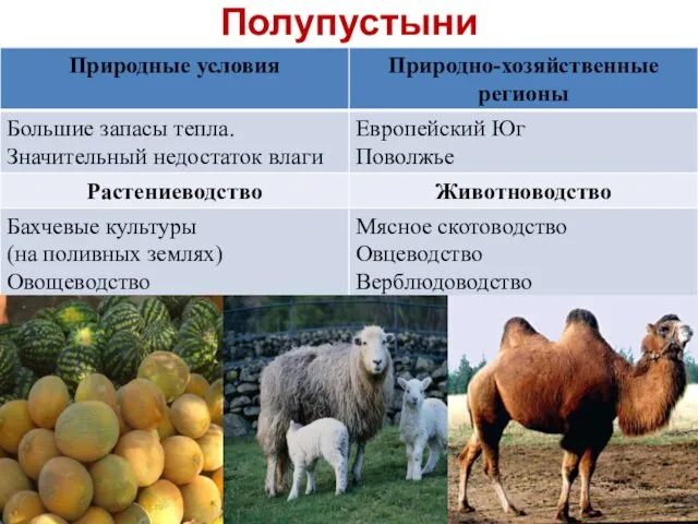 Полупустыни