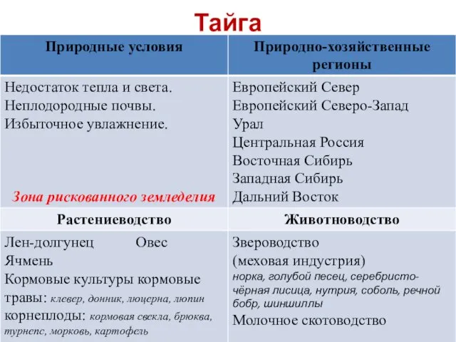 Тайга