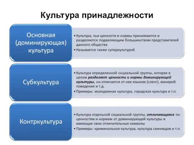 Культура принадлежности