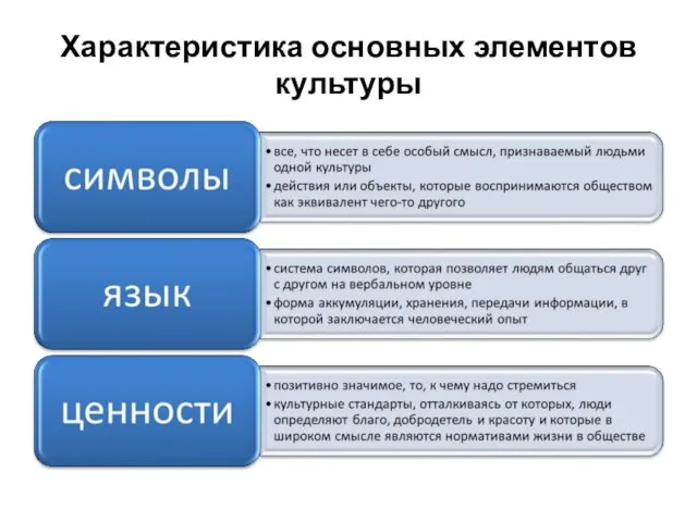 Характеристика основных элементов культуры