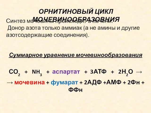 ОРНИТИНОВЫЙ ЦИКЛ МОЧЕВИНООБРАЗОВНИЯ Синтез мочевины происходит в печени. Донор азота только