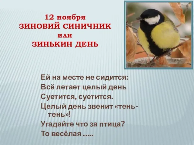 Ей на месте не сидится: Всё летает целый день Суетится, суетится.