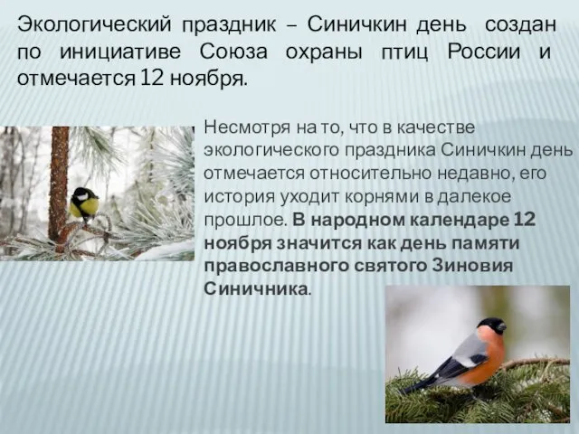Экологический праздник – Синичкин день создан по инициативе Союза охраны птиц