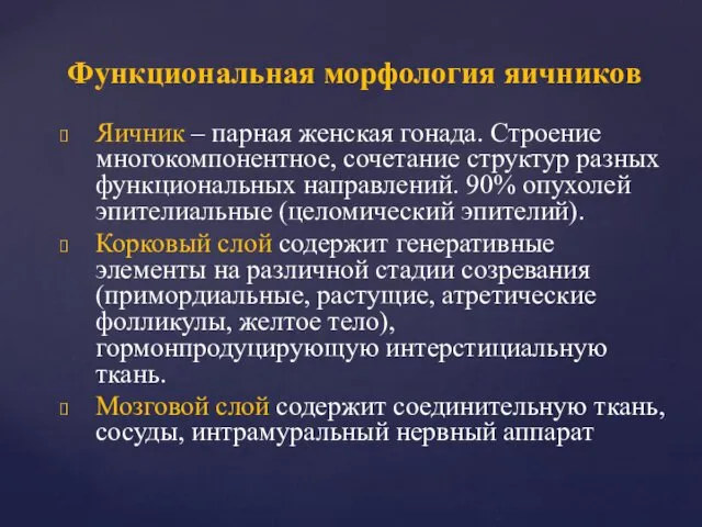 Яичник – парная женская гонада. Строение многокомпонентное, сочетание структур разных функциональных