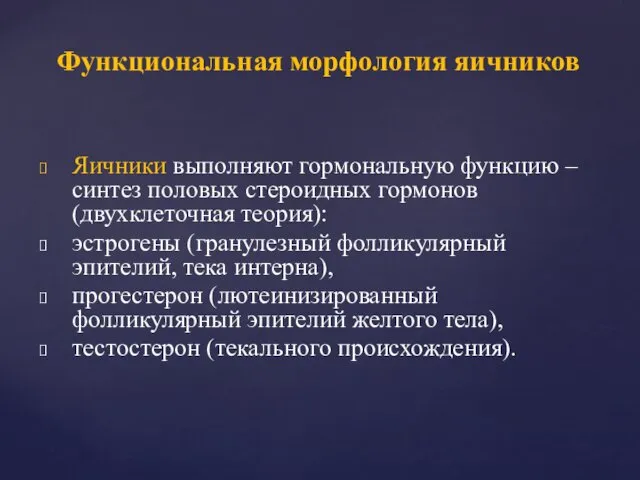 Яичники выполняют гормональную функцию – синтез половых стероидных гормонов (двухклеточная теория):