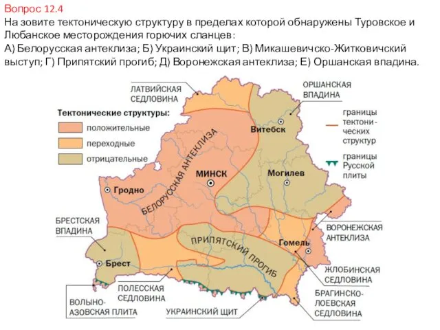 Вопрос 12.4 На зовите тектоническую структуру в пределах которой обнаружены Туровское