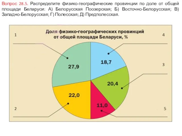 Вопрос 28.5. Распределите физико-географические провинции по доле от общей площади Беларуси: