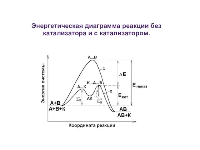 Энергетическая диаграмма реакции без катализатора и с катализатором.