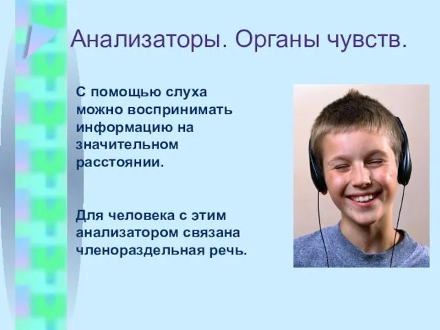 Анализаторы. Органы чувств. С помощью слуха можно воспринимать информацию на значительном