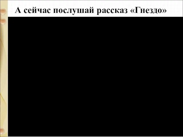 А сейчас послушай рассказ «Гнездо»