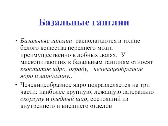 Базальные ганглии Базальные ганглии располагаются в толще белого вещества переднего мозга