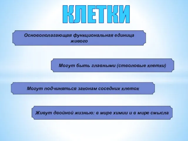 Основополагающая функциональная единица живого Могут быть главными (стволовые клетки) Могут подчиняться