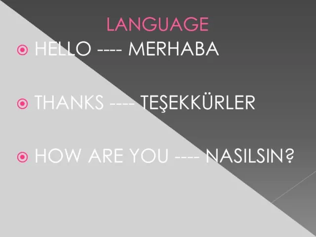 LANGUAGE HELLO ---- MERHABA THANKS ---- TEŞEKKÜRLER HOW ARE YOU ---- NASILSIN?