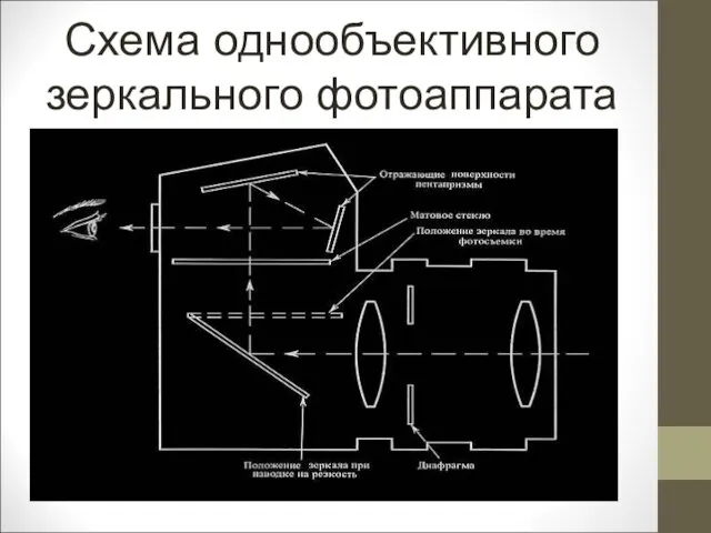 Схема однообъективного зеркального фотоаппарата