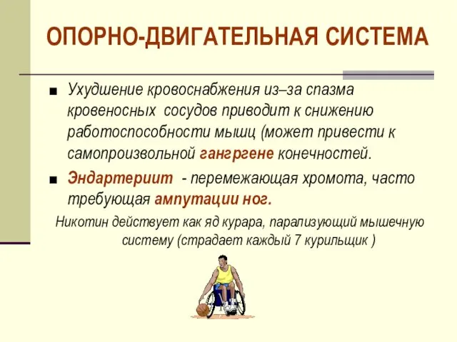 ОПОРНО-ДВИГАТЕЛЬНАЯ СИСТЕМА Ухудшение кровоснабжения из–за спазма кровеносных сосудов приводит к снижению