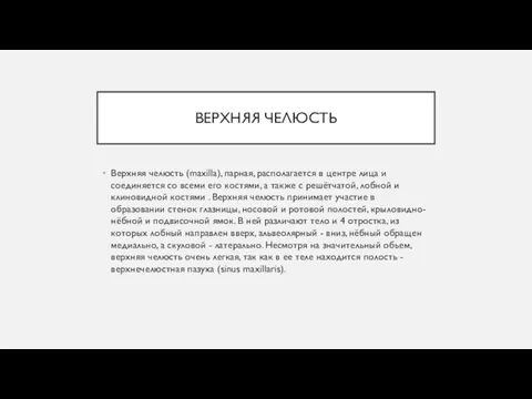 ВЕРХНЯЯ ЧЕЛЮСТЬ Верхняя челюсть (maxilla), парная, располагается в центре лица и