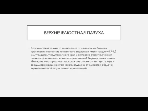 ВЕРХНЕЧЕЛЮСТНАЯ ПАЗУХА Верхняя стенка пазухи, отделяющая ее от глазницы, на большем