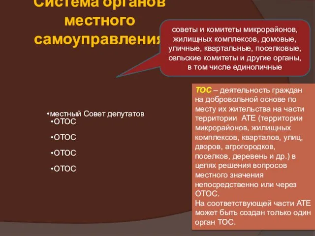 Система органов местного самоуправления местный Совет депутатов ОТОС ОТОС ОТОС ОТОС