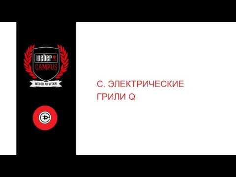 C. ЭЛЕКТРИЧЕСКИЕ ГРИЛИ Q