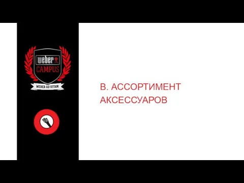 B. АССОРТИМЕНТ АКСЕССУАРОВ