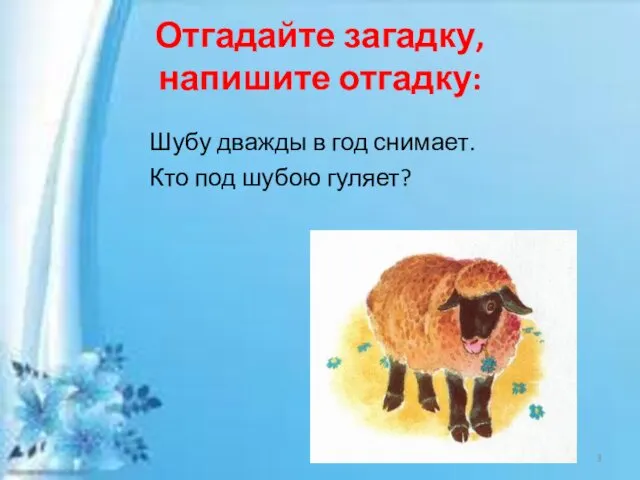 Шубу дважды в год снимает. Кто под шубою гуляет? Отгадайте загадку, напишите отгадку: