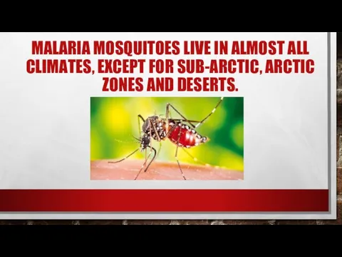 MALARIA MOSQUITOES LIVE IN ALMOST ALL CLIMATES, EXCEPT FOR SUB-ARCTIC, ARCTIC ZONES AND DESERTS.