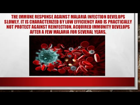 THE IMMUNE RESPONSE AGAINST MALARIA INFECTION DEVELOPS SLOWLY. IT IS CHARACTERIZED