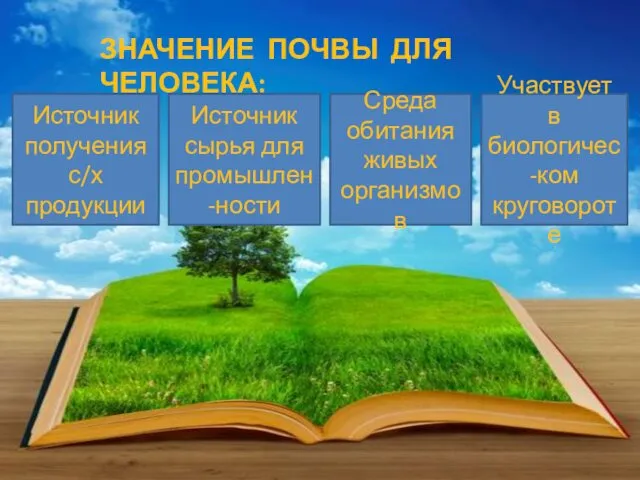 ЗНАЧЕНИЕ ПОЧВЫ ДЛЯ ЧЕЛОВЕКА: Источник получения с/х продукции Источник сырья для