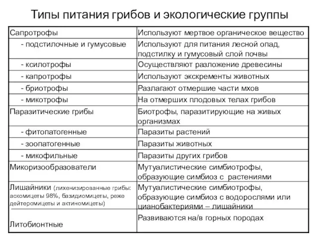 Типы питания грибов и экологические группы