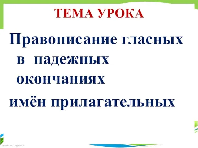 ТЕМА УРОКА Правописание гласных в падежных окончаниях имён прилагательных