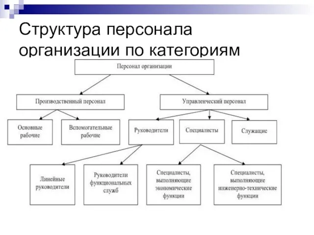 Структура персонала организации по категориям