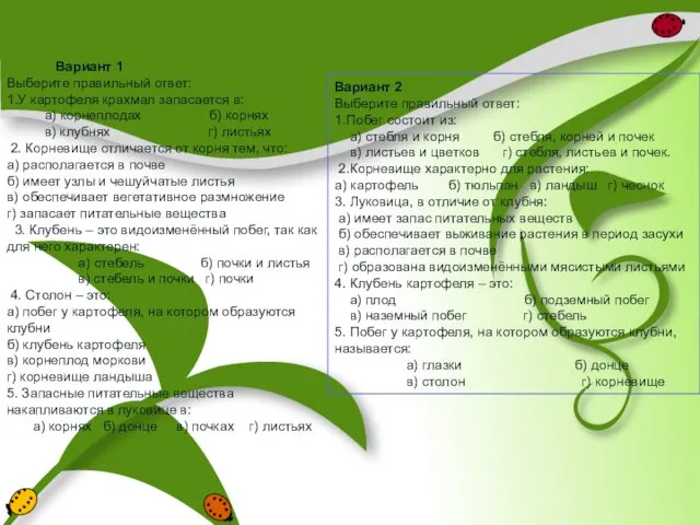 Вариант 1 Выберите правильный ответ: 1.У картофеля крахмал запасается в: а)