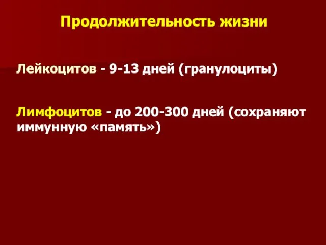 Продолжительность жизни Лейкоцитов - 9-13 дней (гранулоциты) Лимфоцитов - до 200-300 дней (сохраняют иммунную «память»)