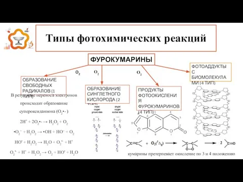 Типы фотохимических реакций ФУРОКУМАРИНЫ O2 O2 O2 ОБРАЗОВАНИЕ СВОБОДНЫХ РАДИКАЛОВ (1