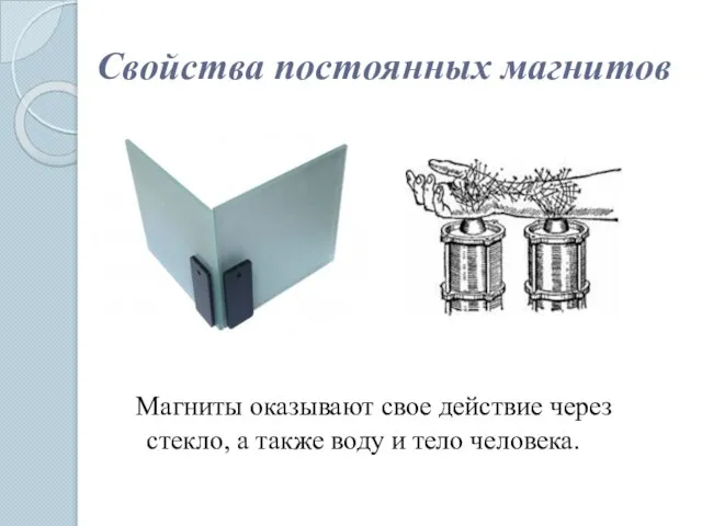 Свойства постоянных магнитов Магниты оказывают свое действие через стекло, а также воду и тело человека.