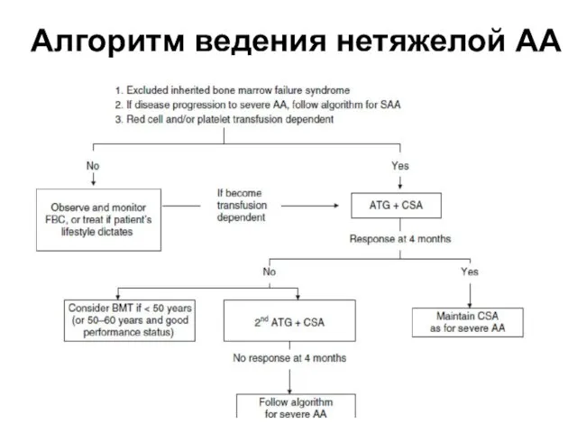 Алгоритм ведения нетяжелой АА