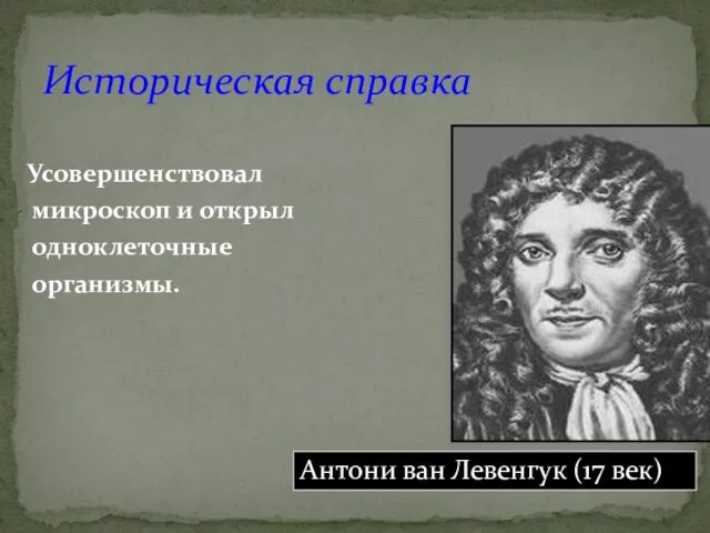 Историческая справка Усовершенствовал микроскоп и открыл одноклеточные организмы. Антони ван Левенгук (17 век)