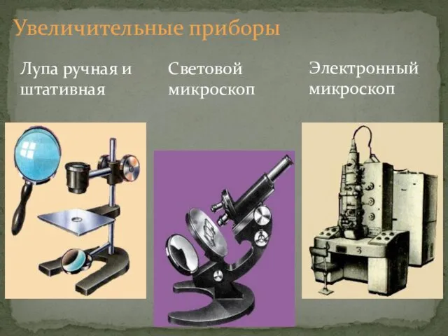 Лупа ручная и штативная Световой микроскоп Электронный микроскоп Увеличительные приборы