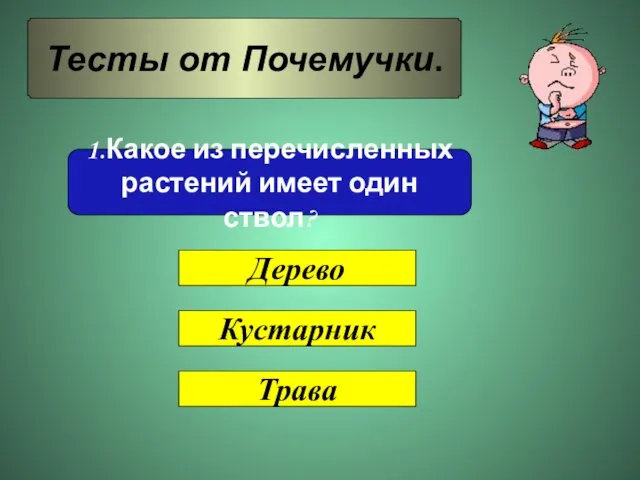 Тесты от Почемучки. 1.Какое из перечисленных растений имеет один ствол? Дерево Кустарник Трава