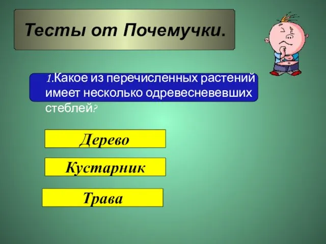 Тесты от Почемучки. Дерево Кустарник Трава 1.Какое из перечисленных растений имеет несколько одревесневевших стеблей?