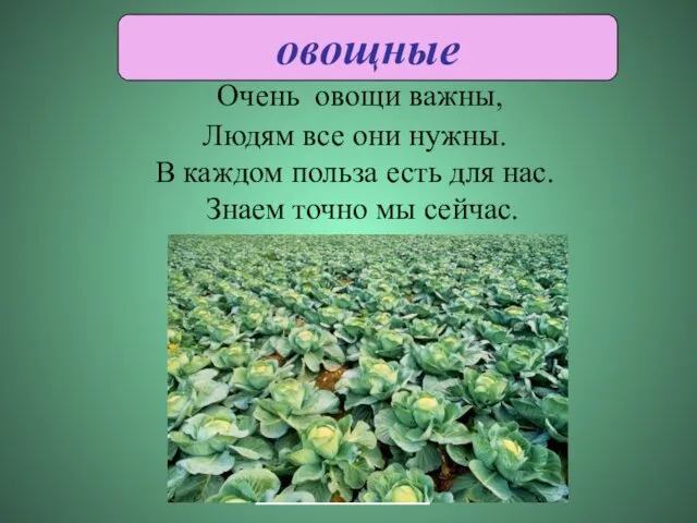 Очень овощи важны, Людям все они нужны. В каждом польза есть