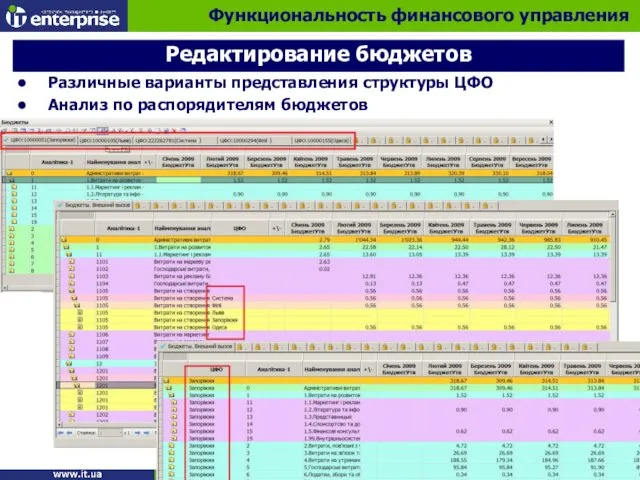 Различные варианты представления структуры ЦФО Анализ по распорядителям бюджетов Редактирование бюджетов Функциональность финансового управления