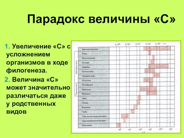 Парадокс величины «С» 1. Увеличение «С» с усложнением организмов в ходе