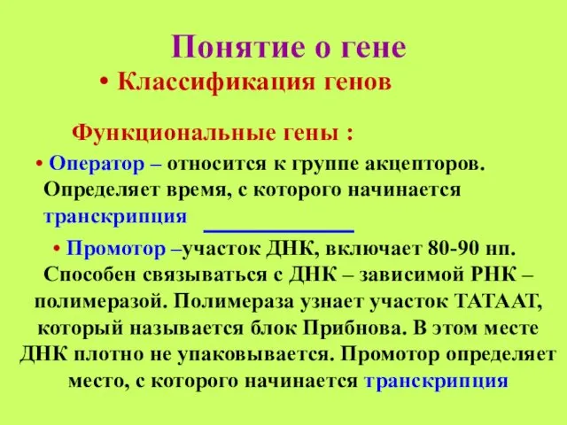 Понятие о гене Классификация генов Функциональные гены : Оператор – относится