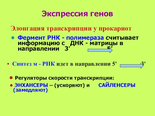 Экспрессия генов Фермент РНК - полимераза считывает информацию с ДНК -